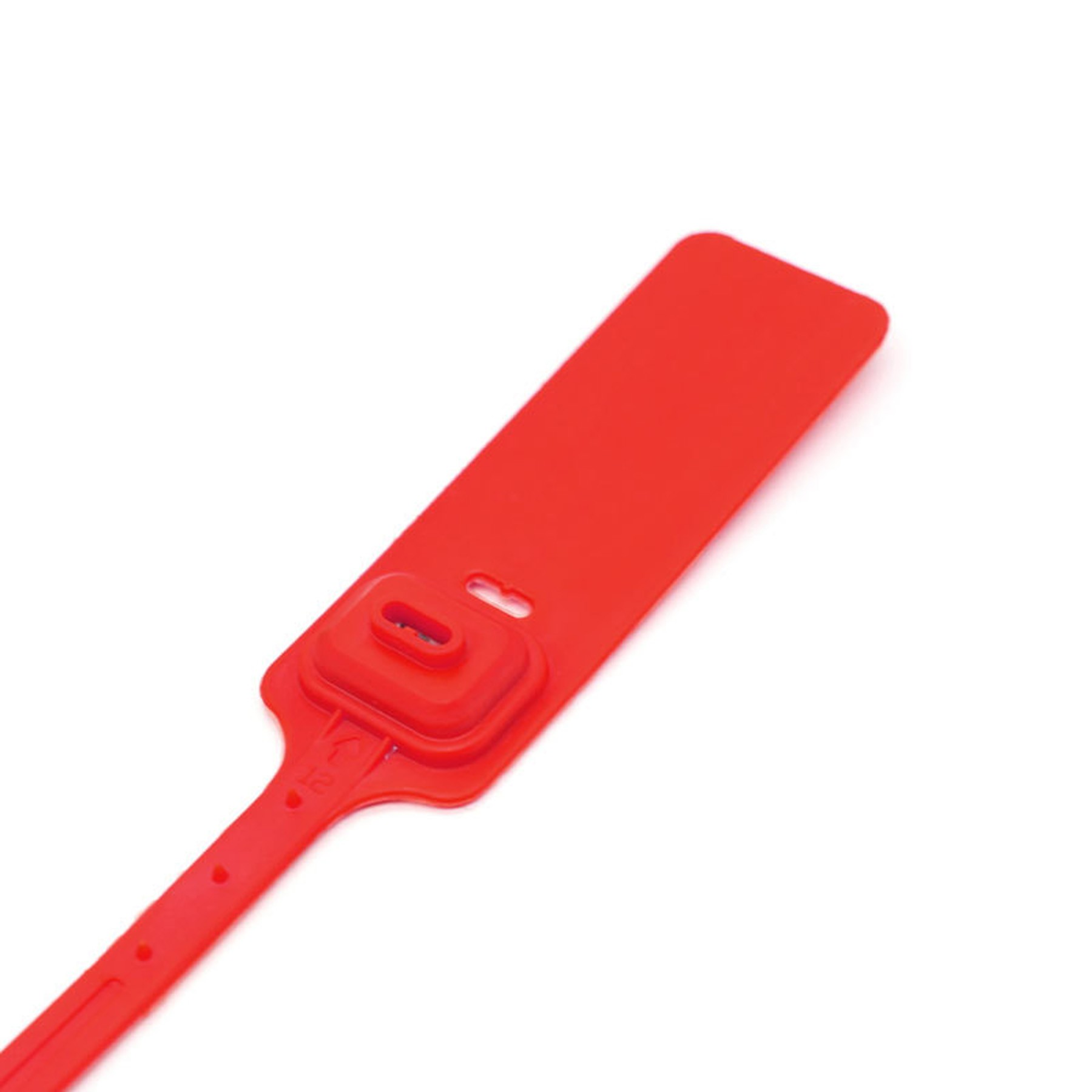Disposable Tag Plastic Seal 6