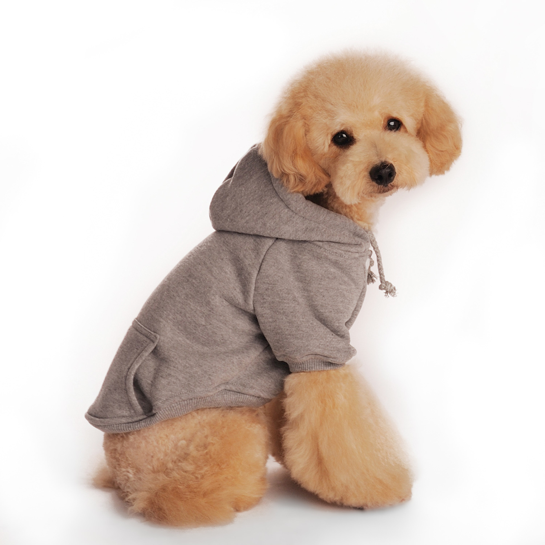 Dog Sweater Hoodie With Pockets 4
