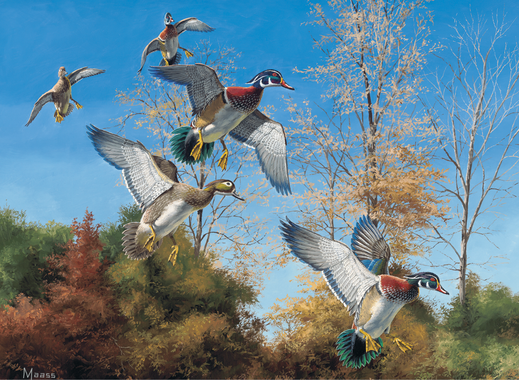 HotLine® Products Maass Wildfowl® Executive Calendar 2