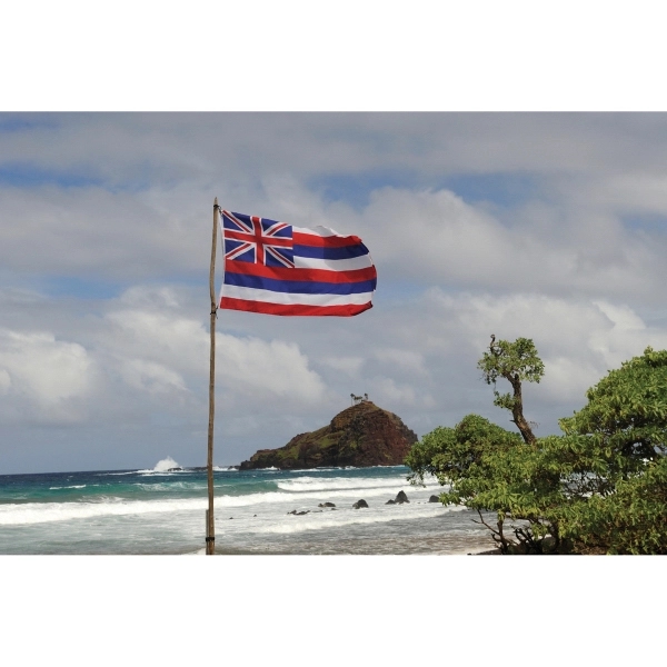 Hawaii Official Flag 2