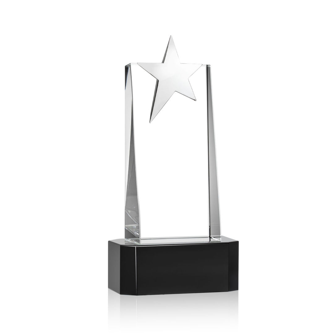 Fanshaw Silver Star Award on Base - Black 2