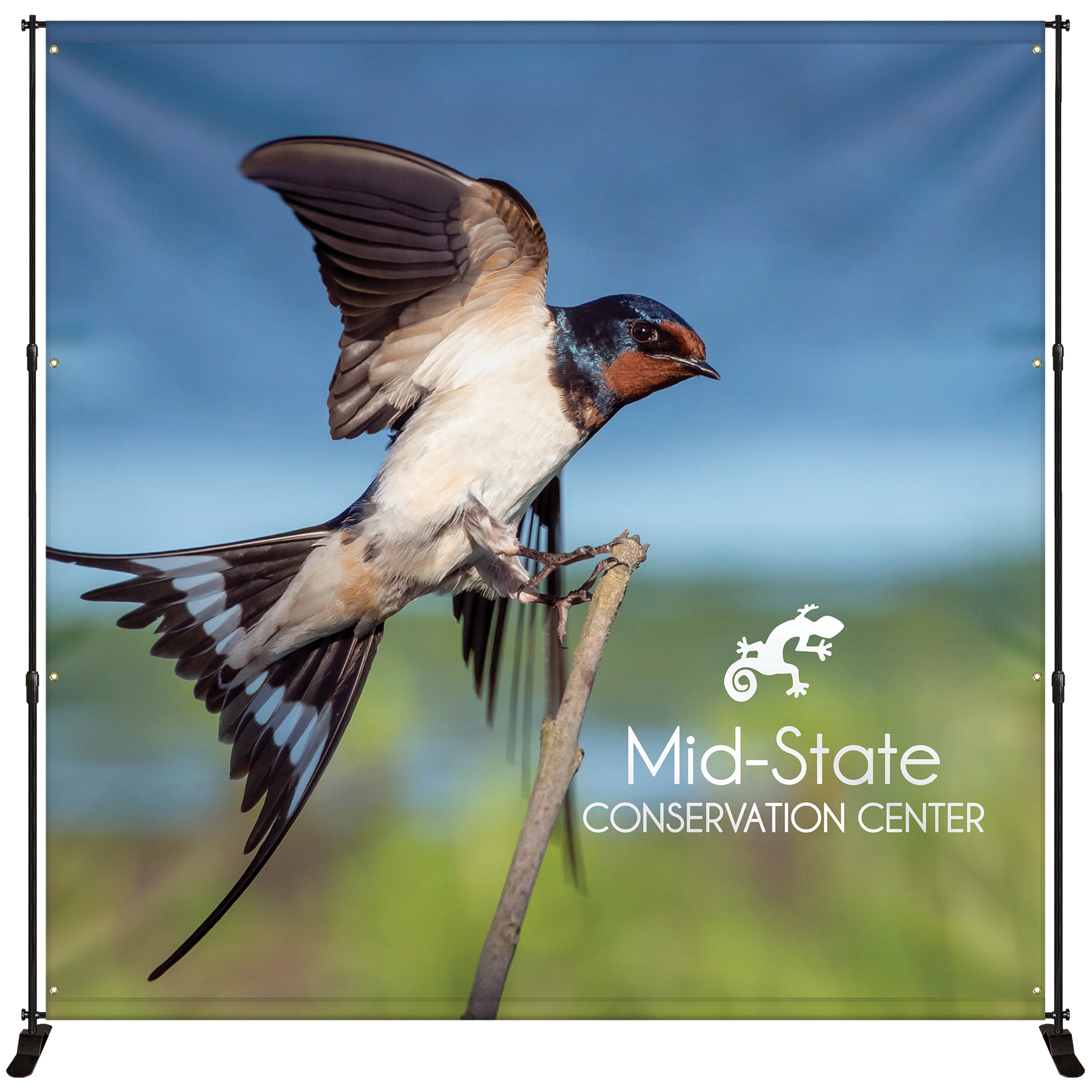 10' x 10' Premium Backdrop Banner Wall Kit 3