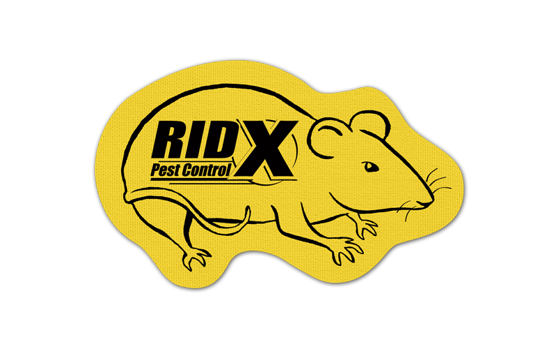 Rat/Mouse Rubber Jar Opener 60