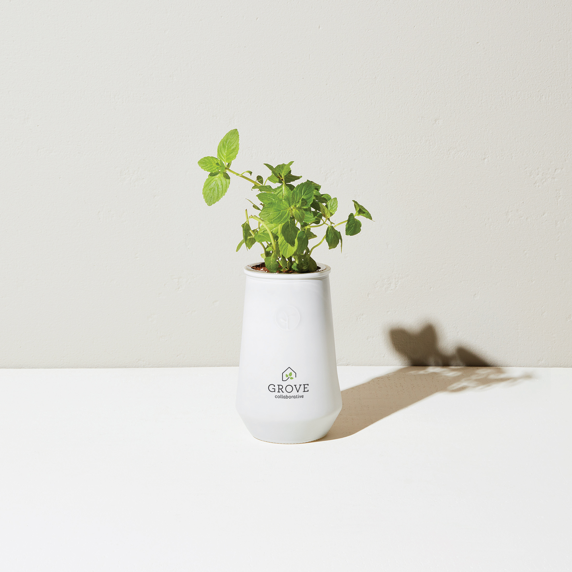 Modern Sprout® Tapered Tumbler Grow Kit 17