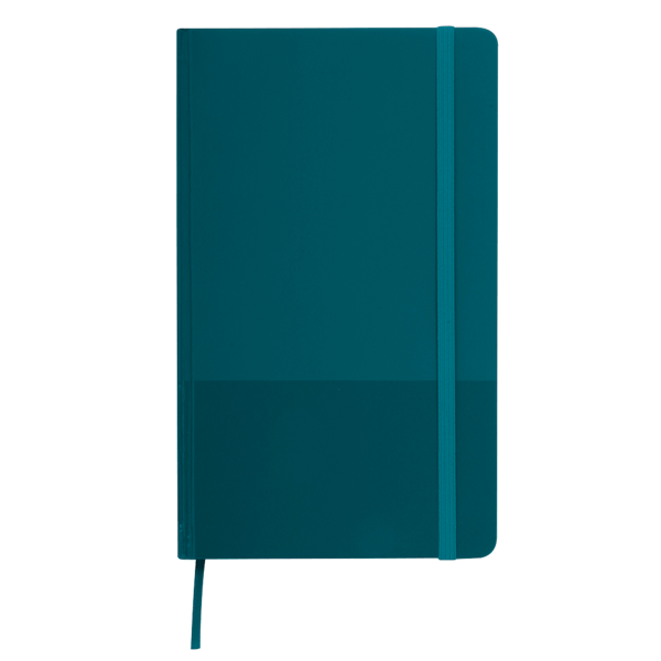 Kingston Journal Book 113
