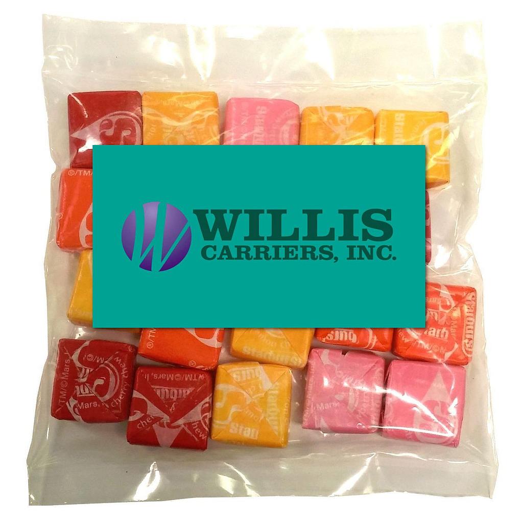 Large Snack Bag with Rectangle Magnet Standard Fill 20