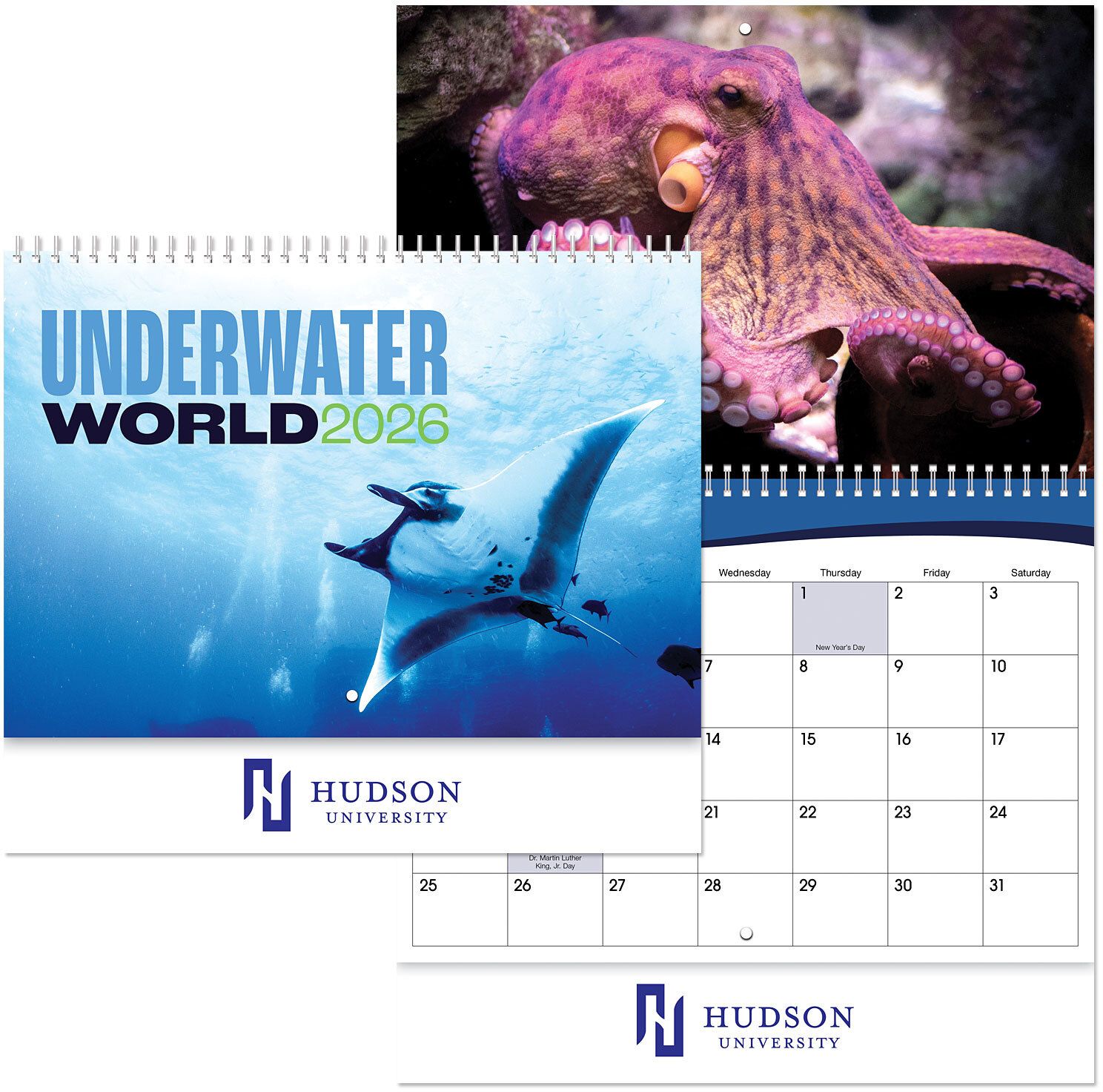 UNDERWATER WORLD SPIRAL WALL CALENDAR 22