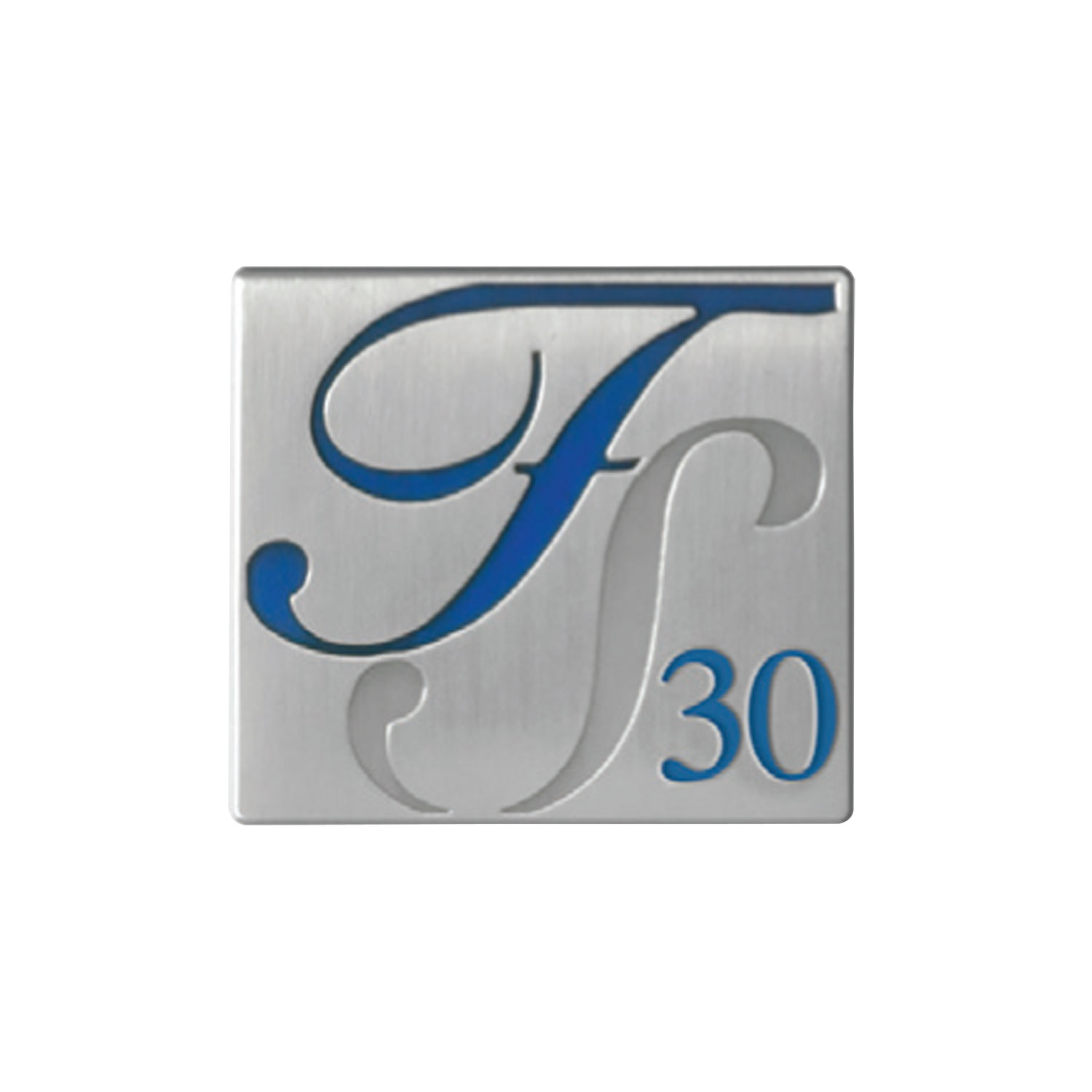 Vip Lapel Pins - Die Struck 1