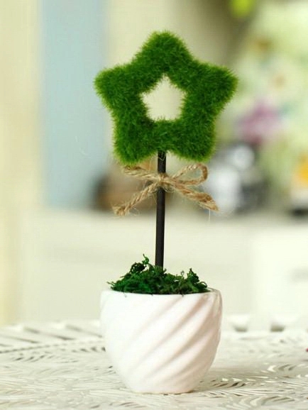 Hollow Star Table Plants 2