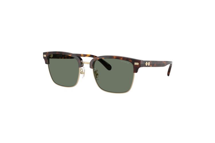 Coach Rogue Retro Sunglasses 2