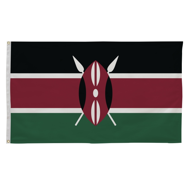 3' x 5' International Flags 234