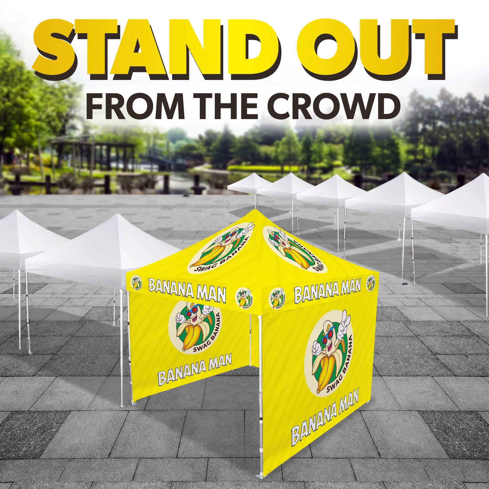 10ft x 10ft Custom Canopy Tent - Everyday Platinum Package 2
