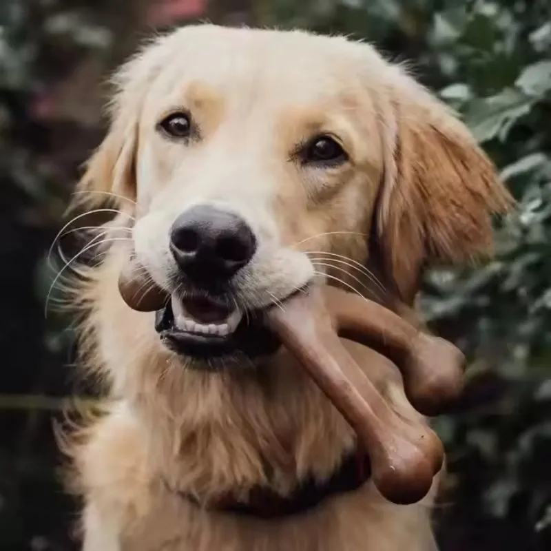 Pet Dog Bone Chew Toy 1