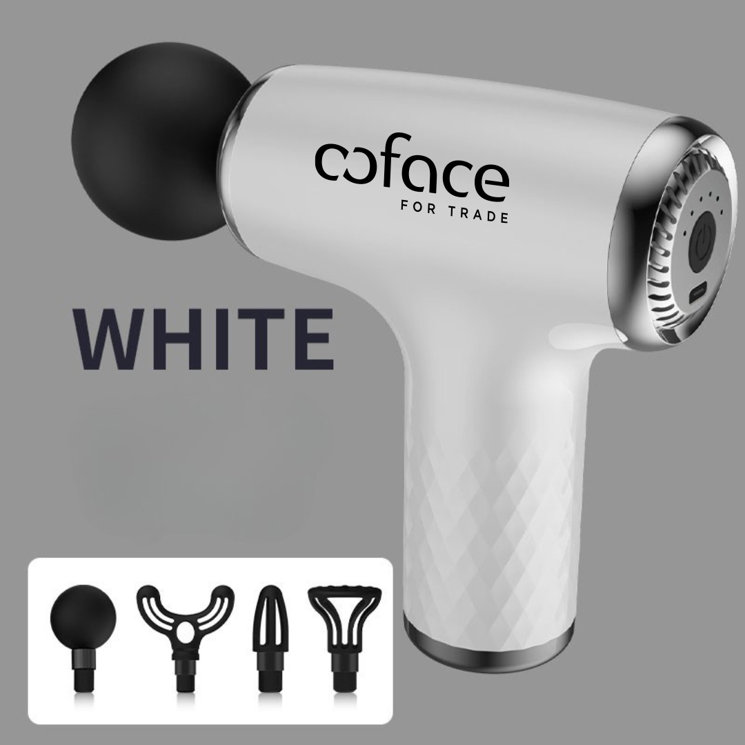 Verdure Massage Gun with 6 Speeds, Dual Batteries, and 4 Attachments in a Zip Bag 4
