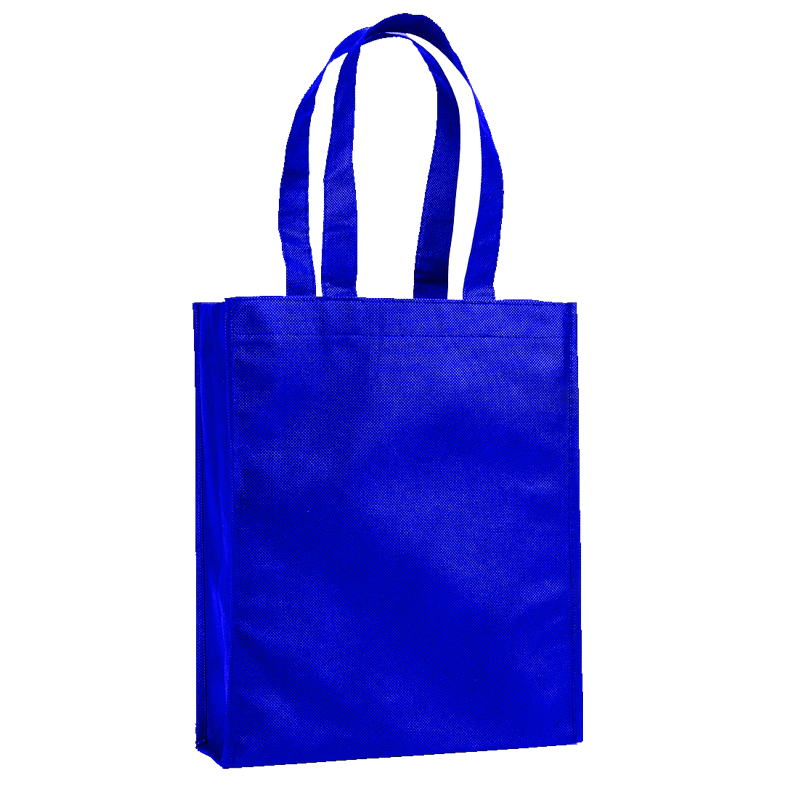 Mini Gift Tote Bag Non-Woven 6