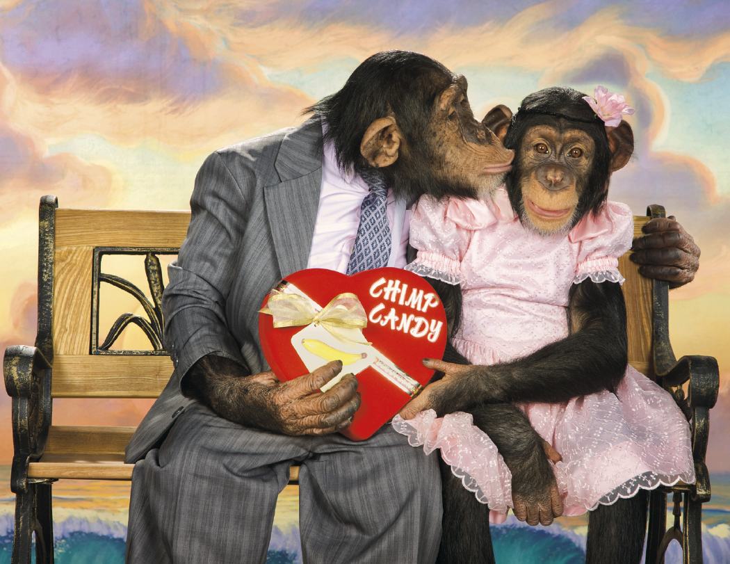 Triumph® Calendars Monkey Business Calendar 67