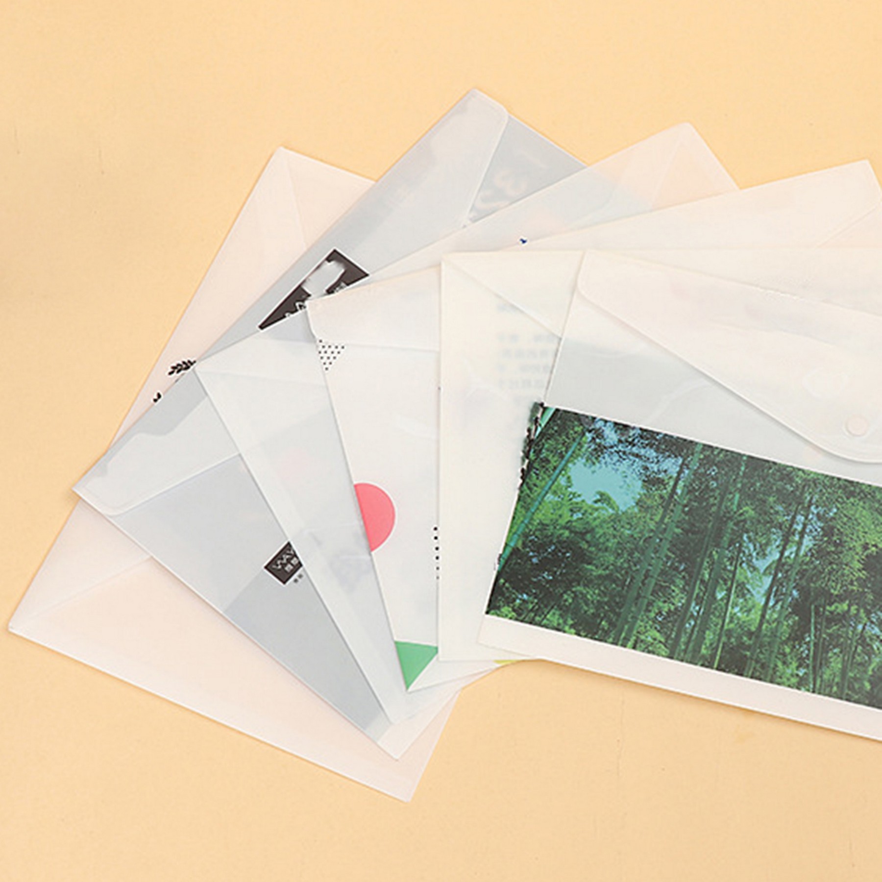 Transparent A4 Document Pouch 5