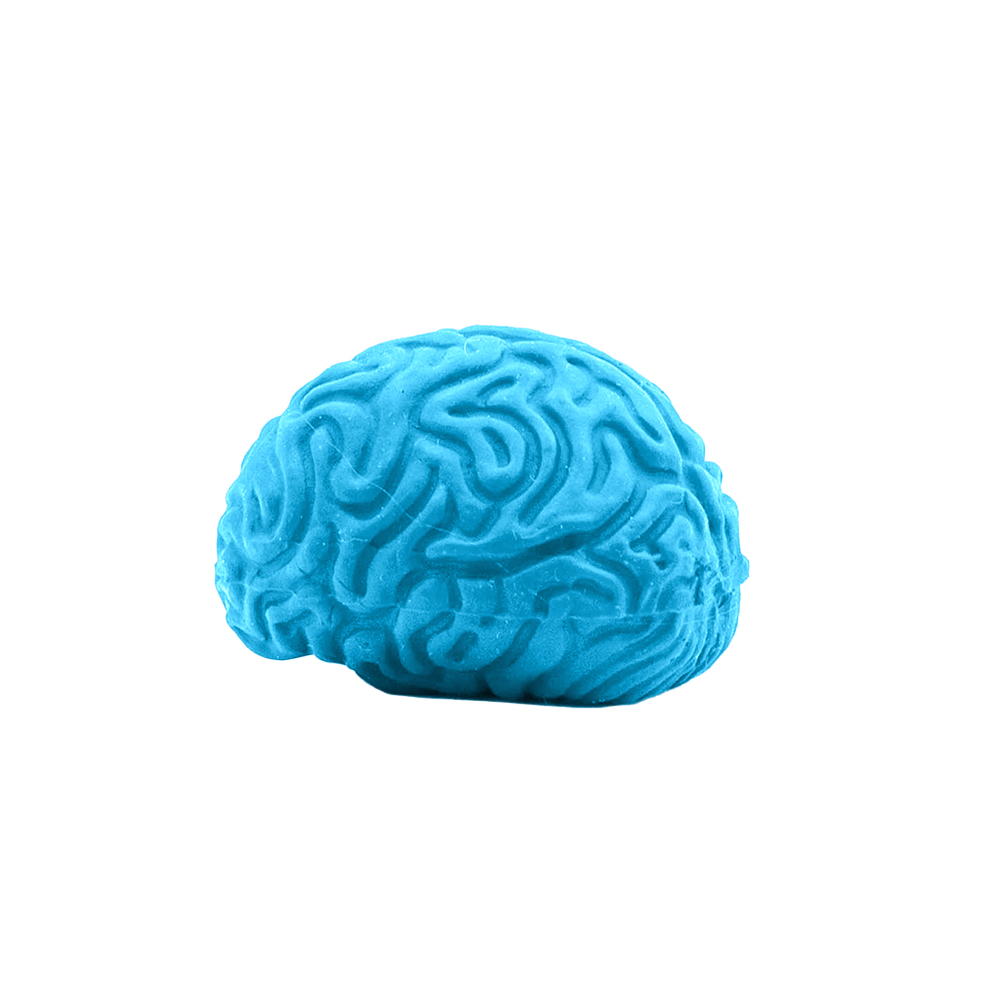 Pencil-Top Eraser Brain 5