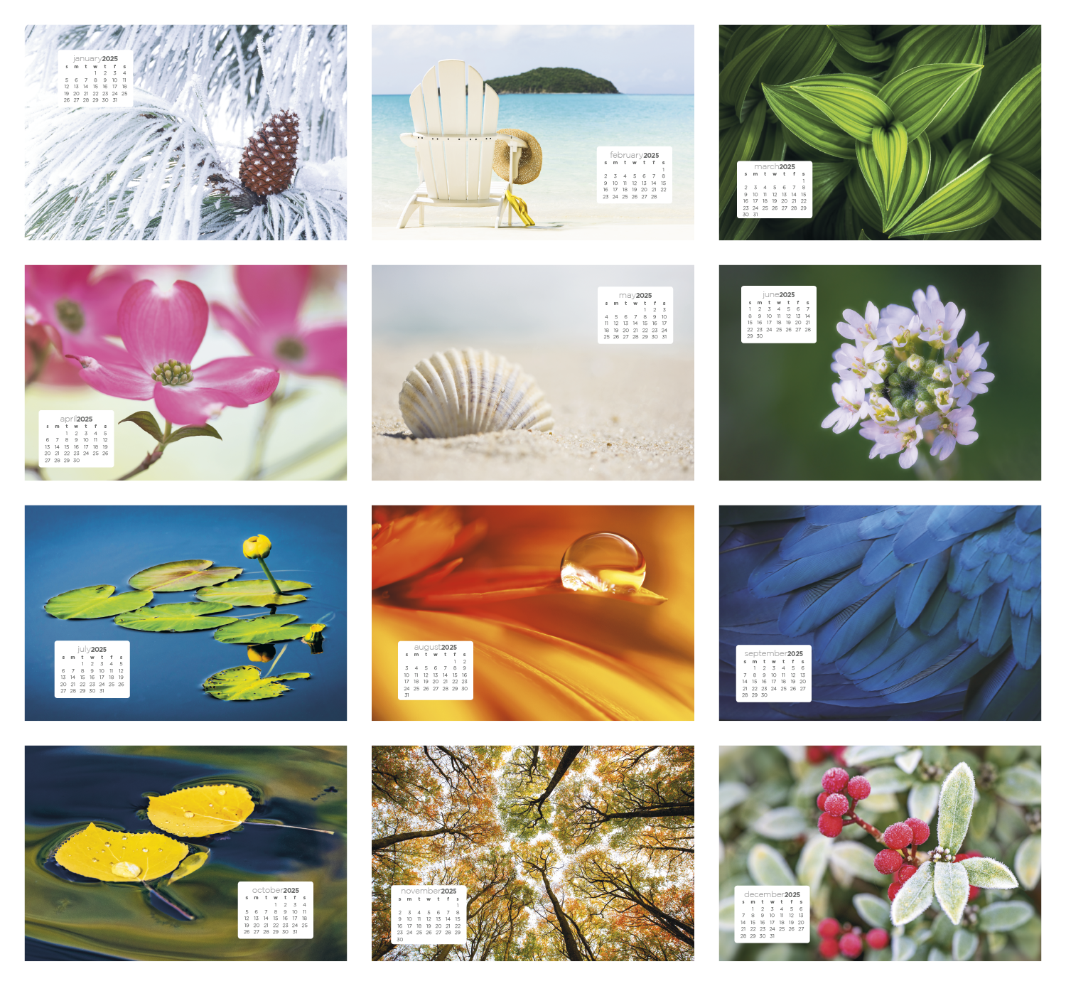 Triumph® Calendars Simplicity Large Desk Calendar 15
