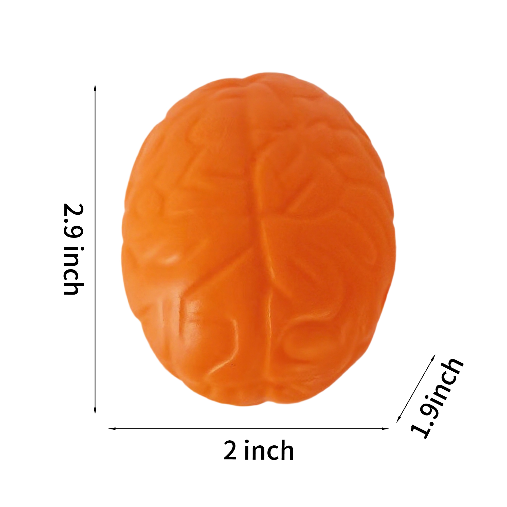 Brain Shape Foam Stress Reliever For Office And Education Use 3