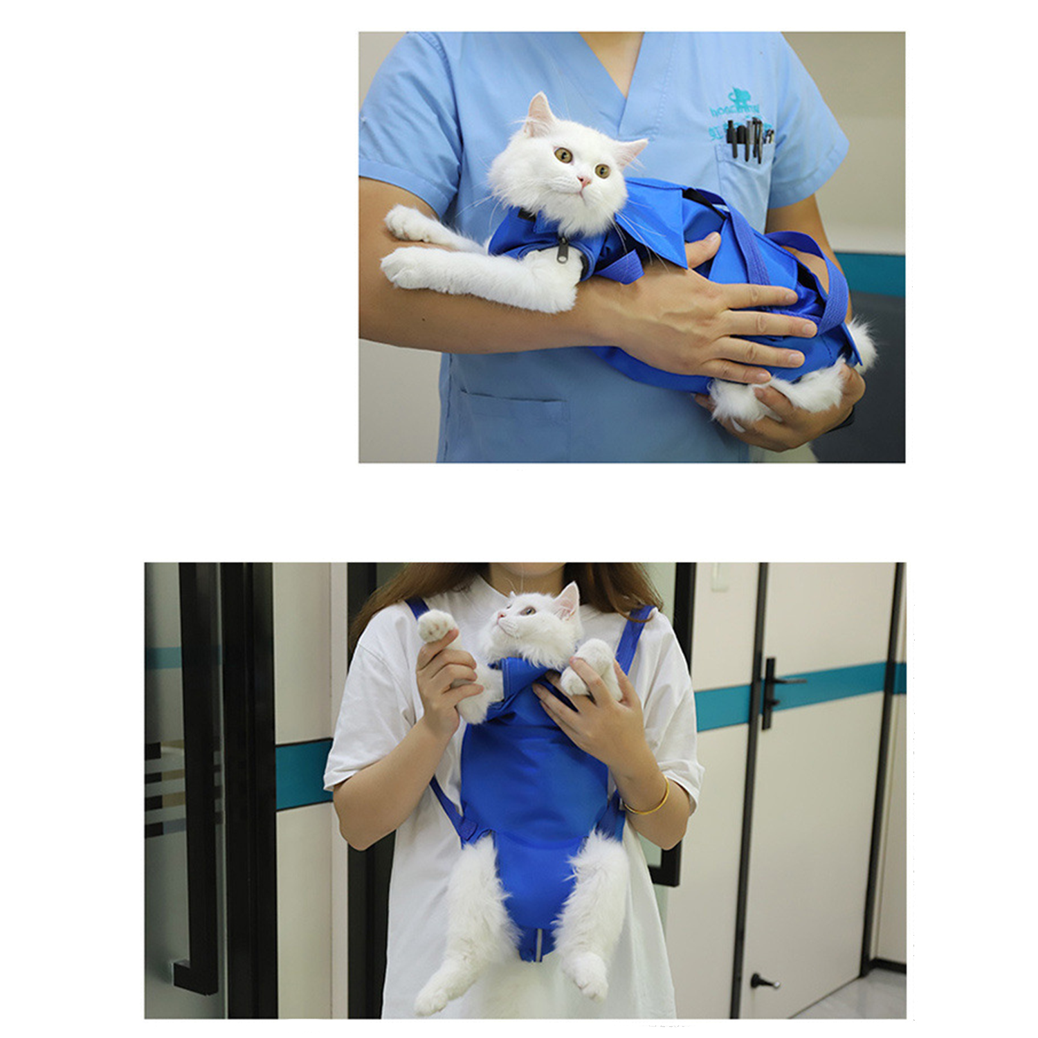 Foldable Pet Carry Bag for Outdoors 7
