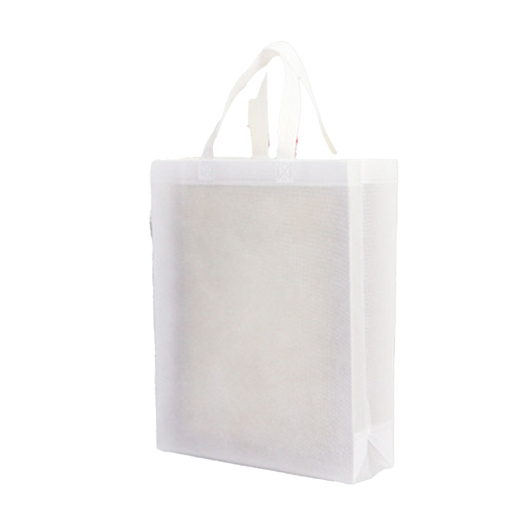Reusable Eco Friendly Shopping Bag 3