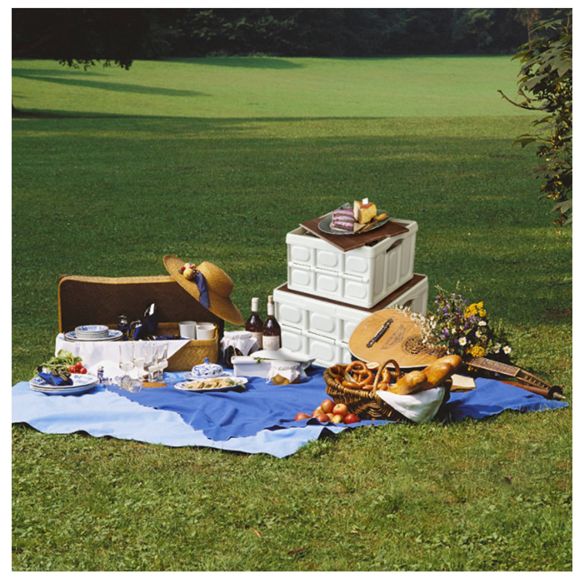 Folding Plastic Picnic Camping Storage Box 3
