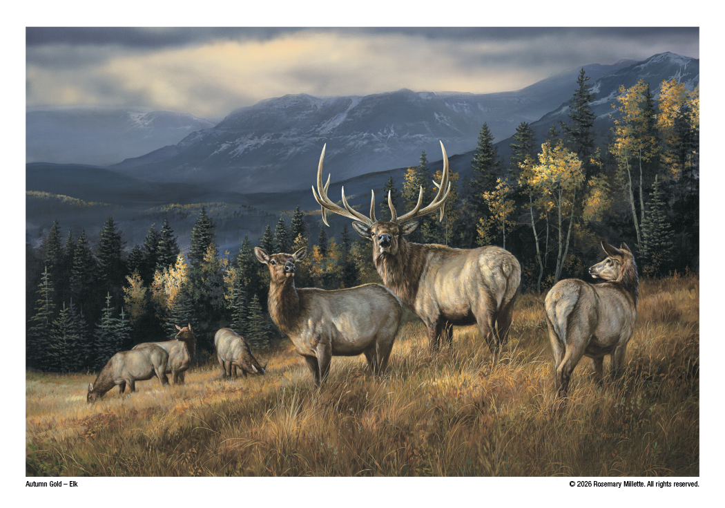 Triumph® Calendars Wildlife Art Calendar 32