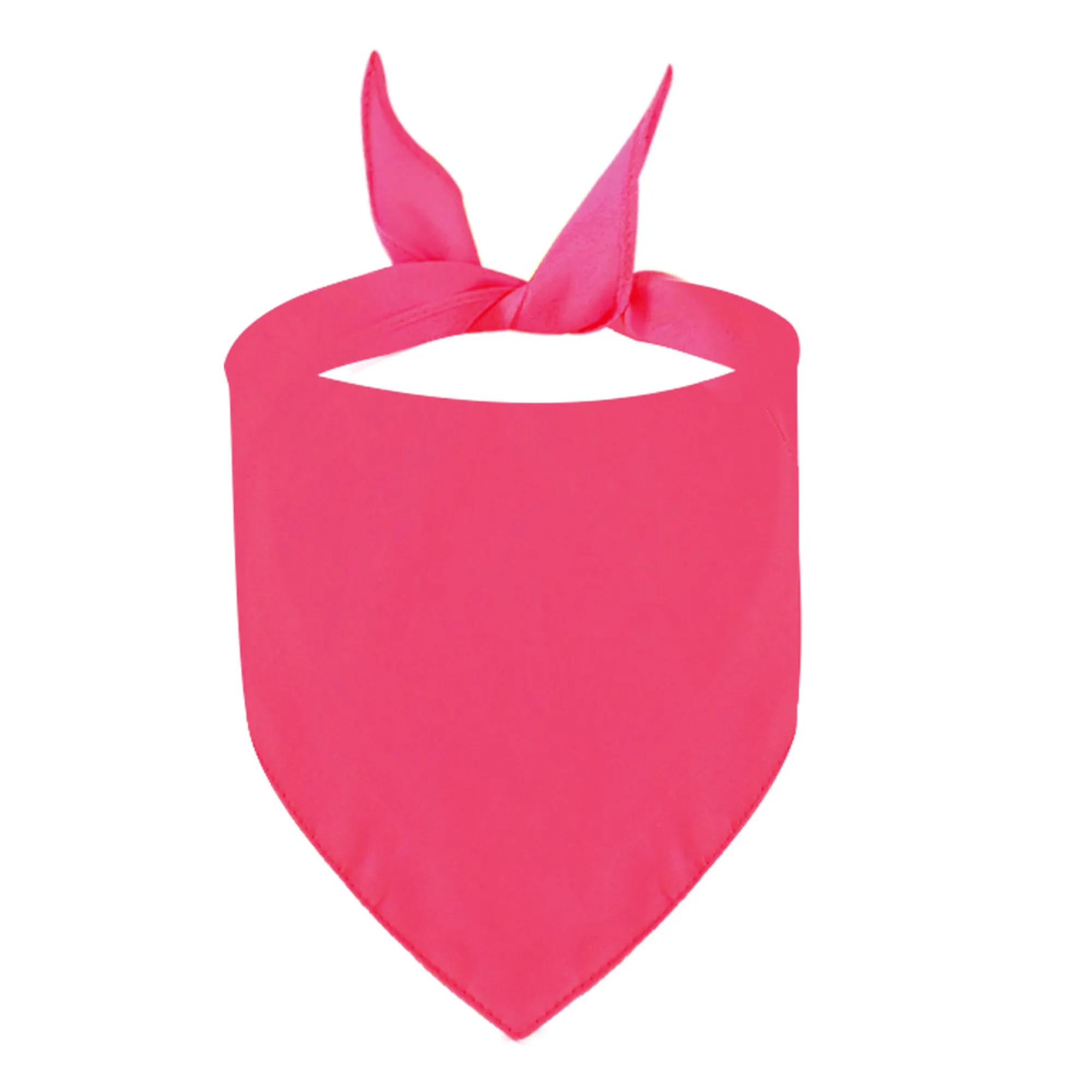 MOQ 20 Polyester Pet Triangle Scarf 9
