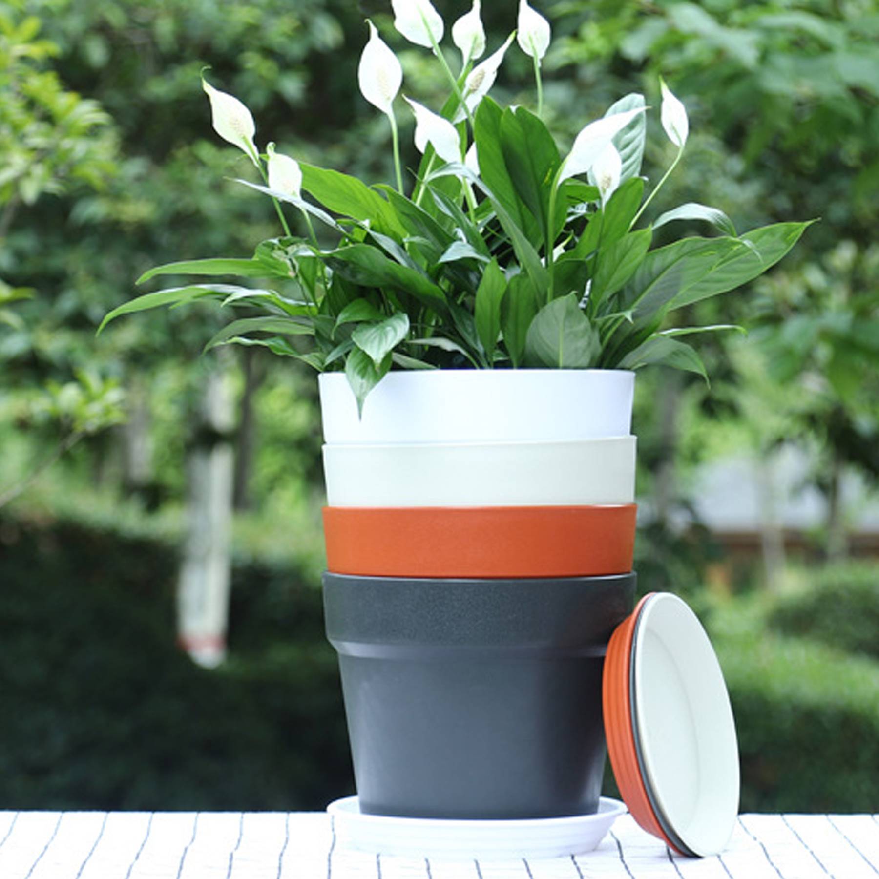 Plant Pot W/ Drainage Hole 1