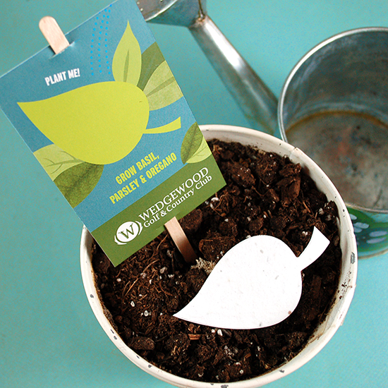 Double-Sided Herb Planting Sticks 3