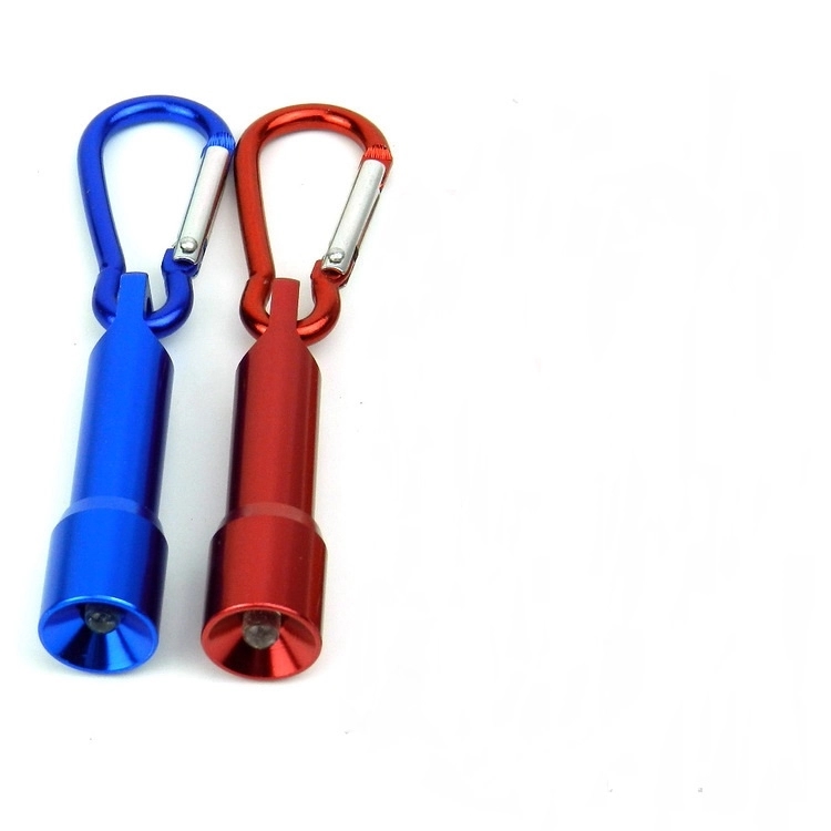 Small Keylight & Carabiner Keychains 1
