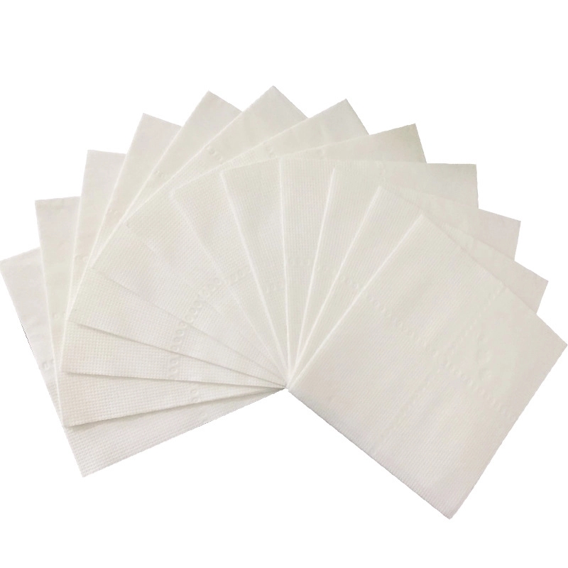 Custom Disposable 2-Ply White Dinner Napkins 6