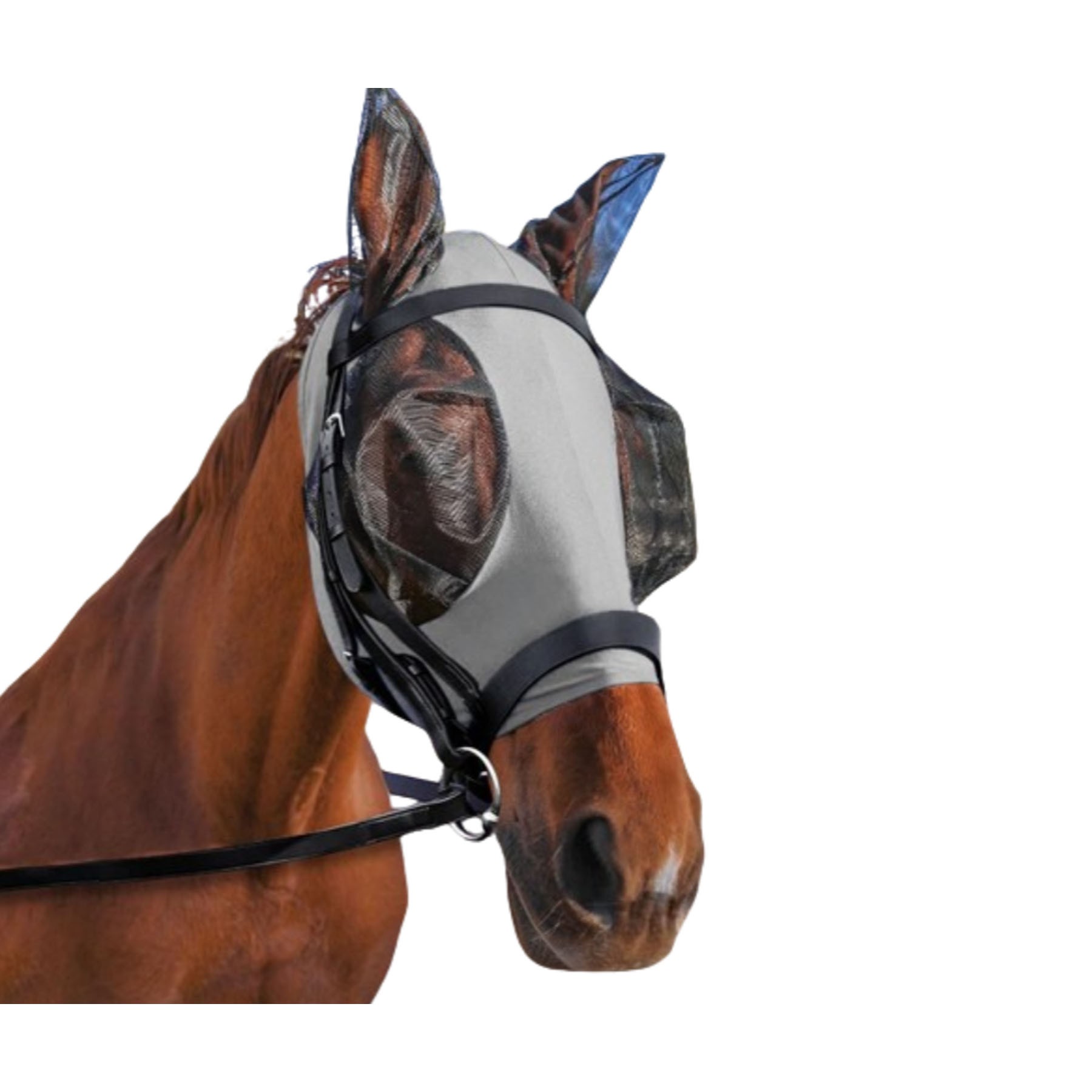 Horse Fly Mask 2