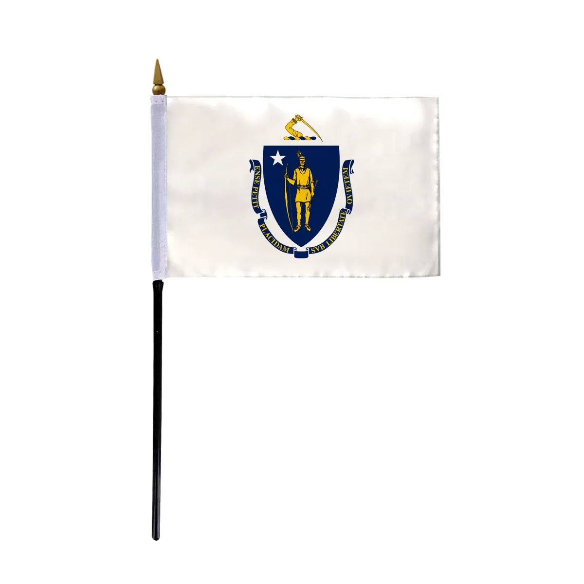 4"x6" & 12"x18'' Massachusetts ePoly Printed Stick Flags 2