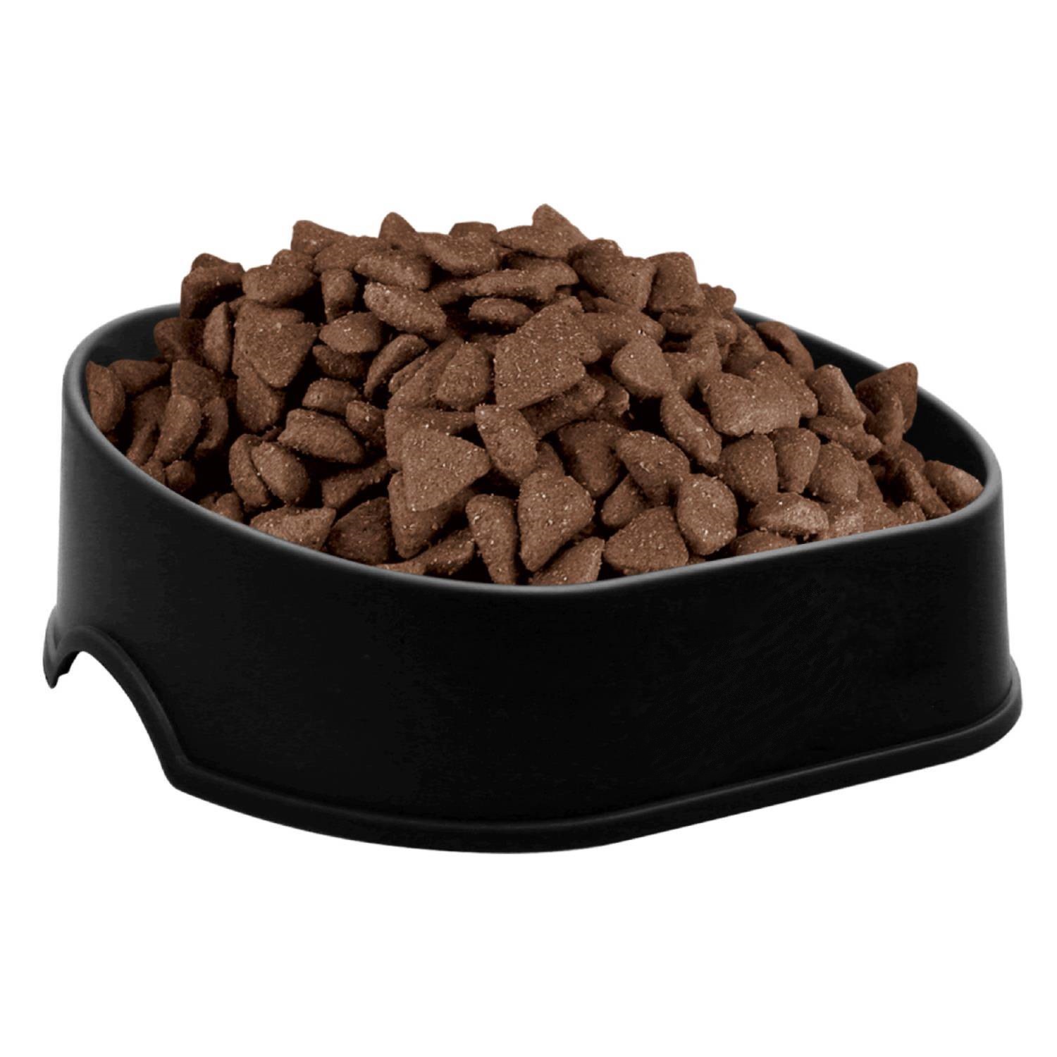 8-inch Plastic Pet Bowl 8
