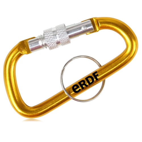 Screw Lock D Hung Carabiner Keyring 3
