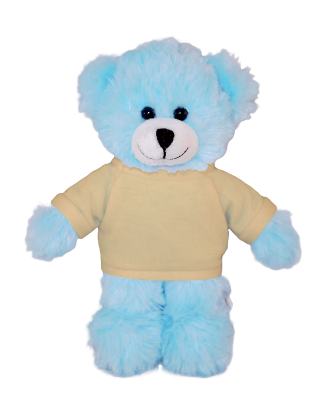 Blue Bear with Tee 13
