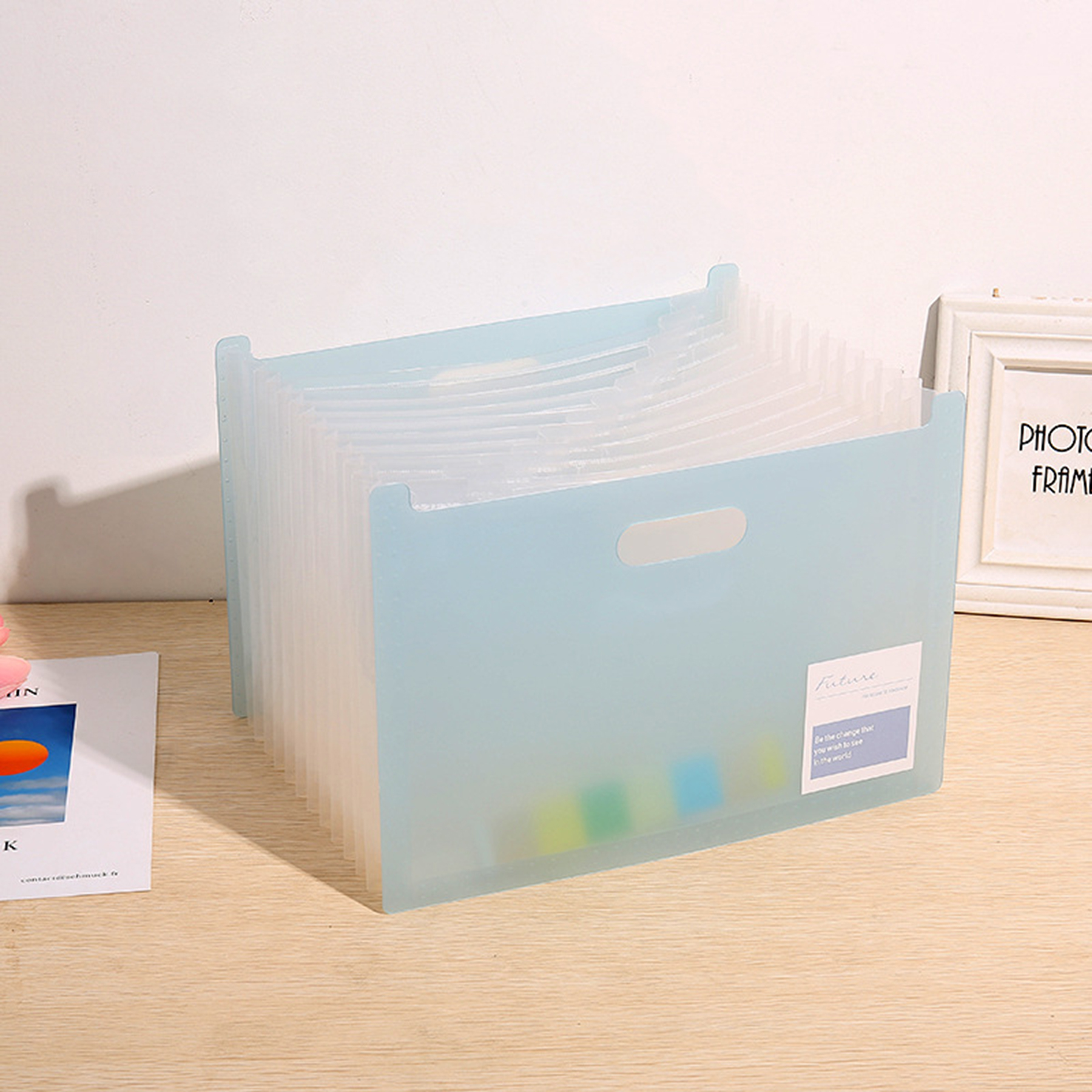 Expanding Accordian File Organizer 4