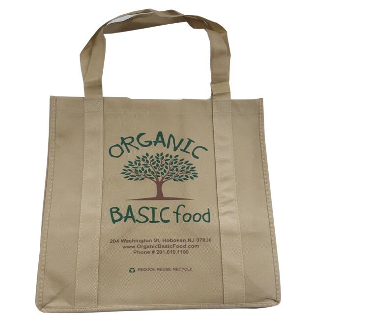 Laminated Shopping Bag 2