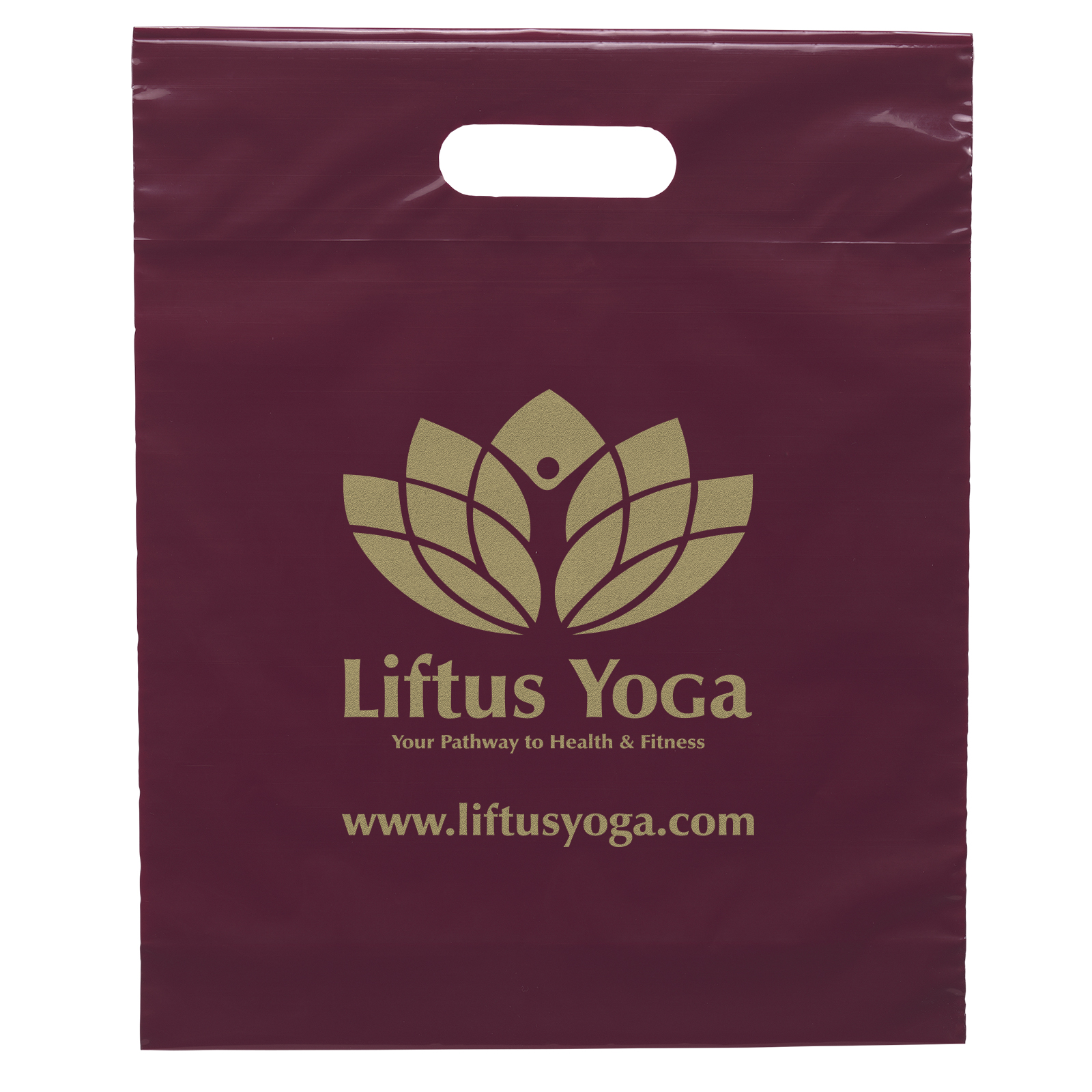 Die Cut Handle Bag - 12W x 15H x 3 - Flexo Ink Print 6