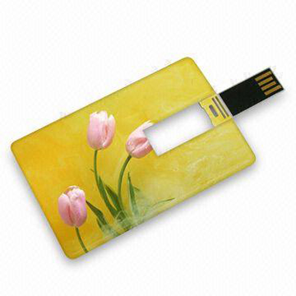 Credit Card Look Swivel USB Flash Drive 2