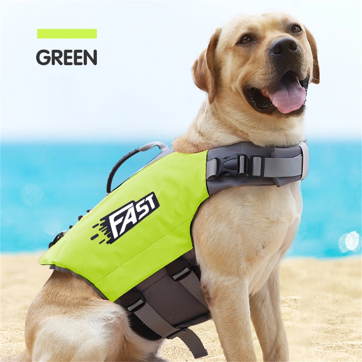 Life Jacket For Dogs 6