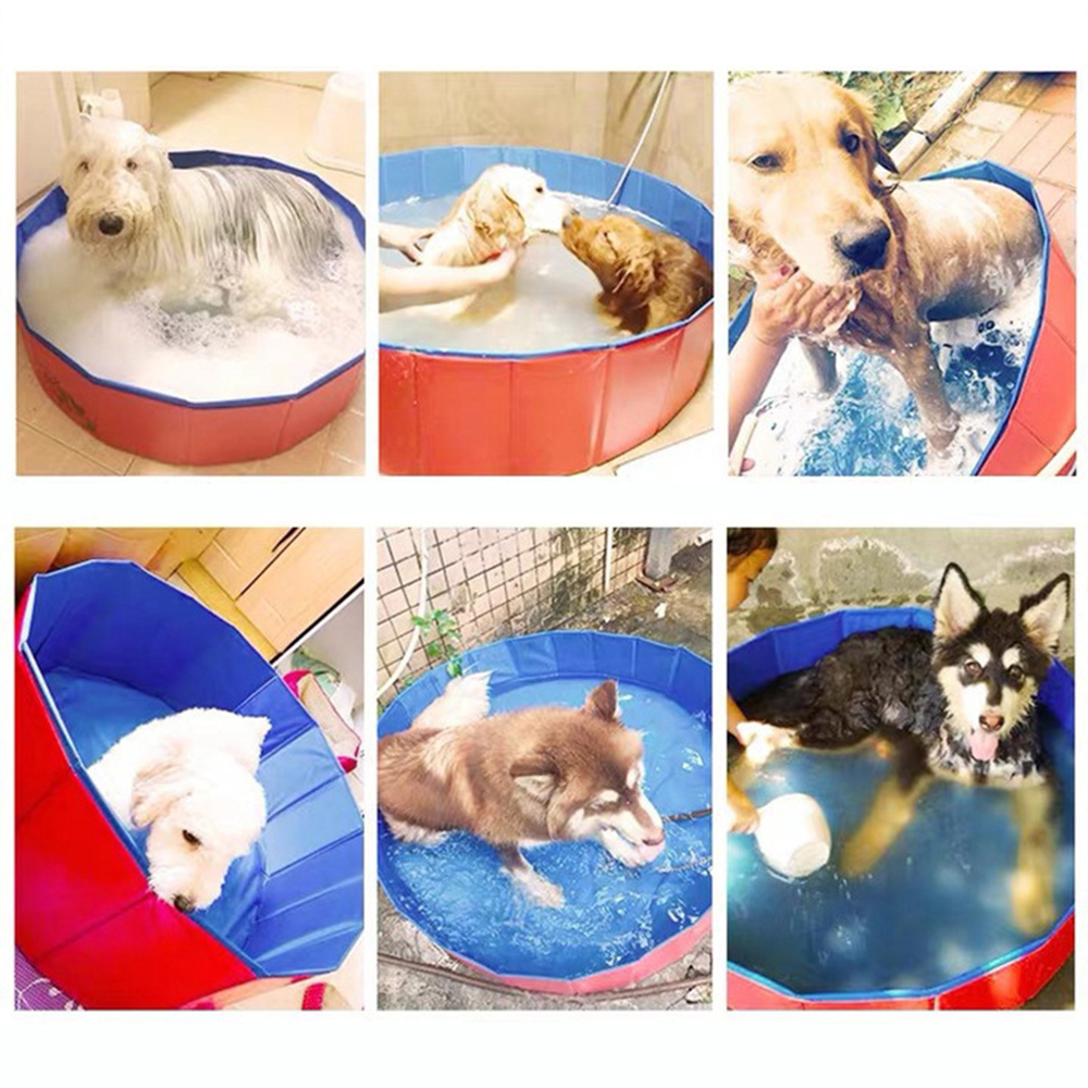 Folding Pet Swimming Pool 1