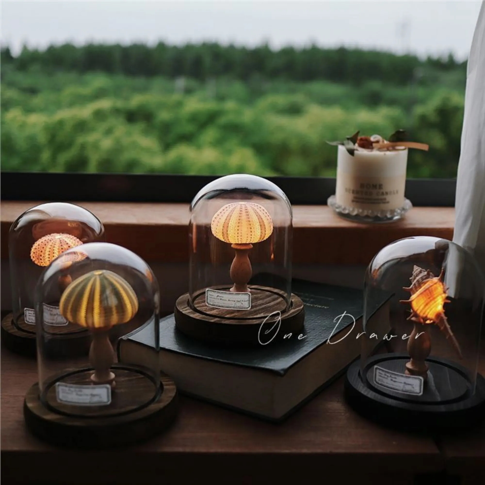 Illuminated Seashell Ornament Ambient 1