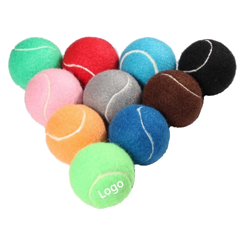 Pet Training Ball 2