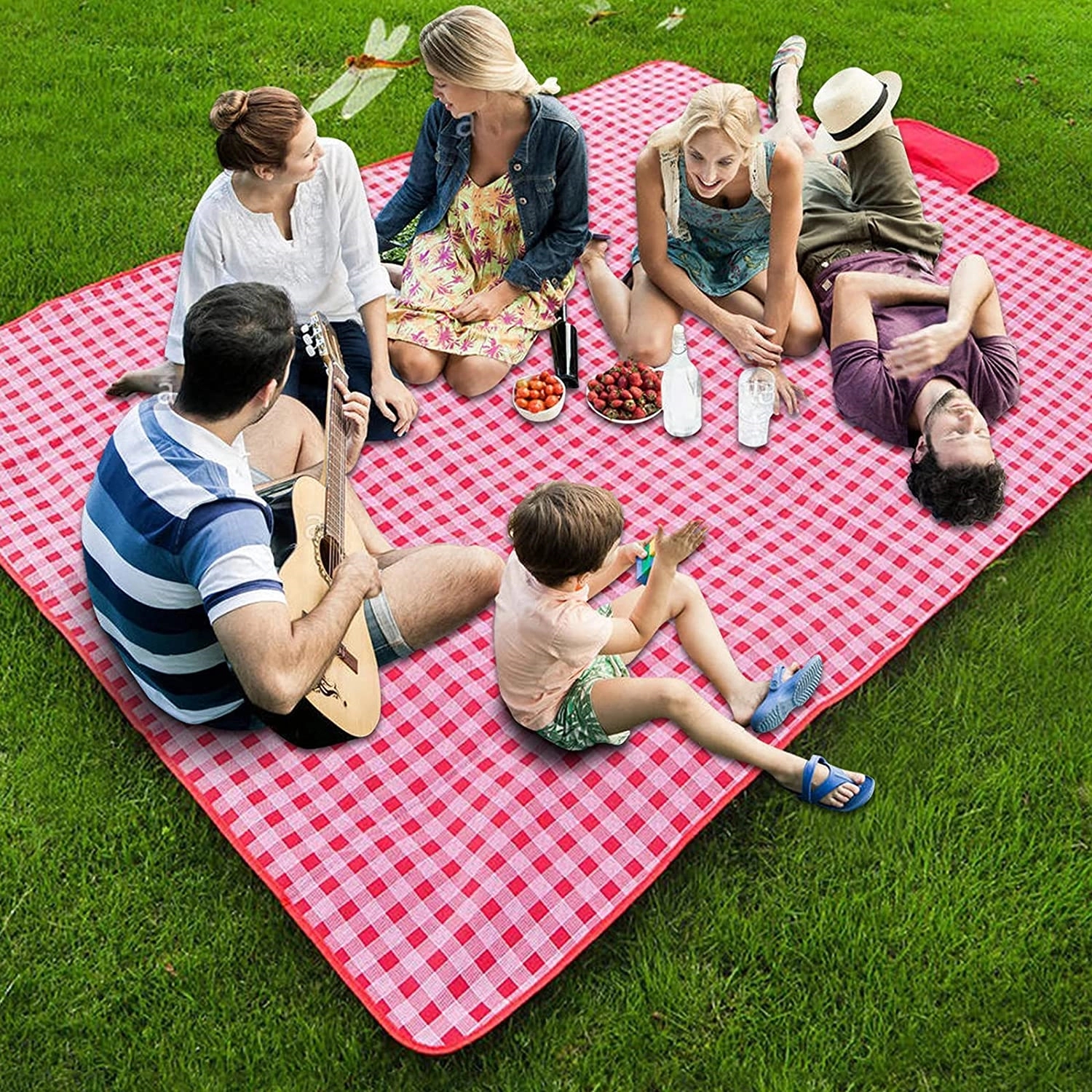 Picnic Blanket 3