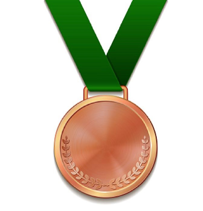 Customized Antique Copper Plated Zinc Alloy Medal
