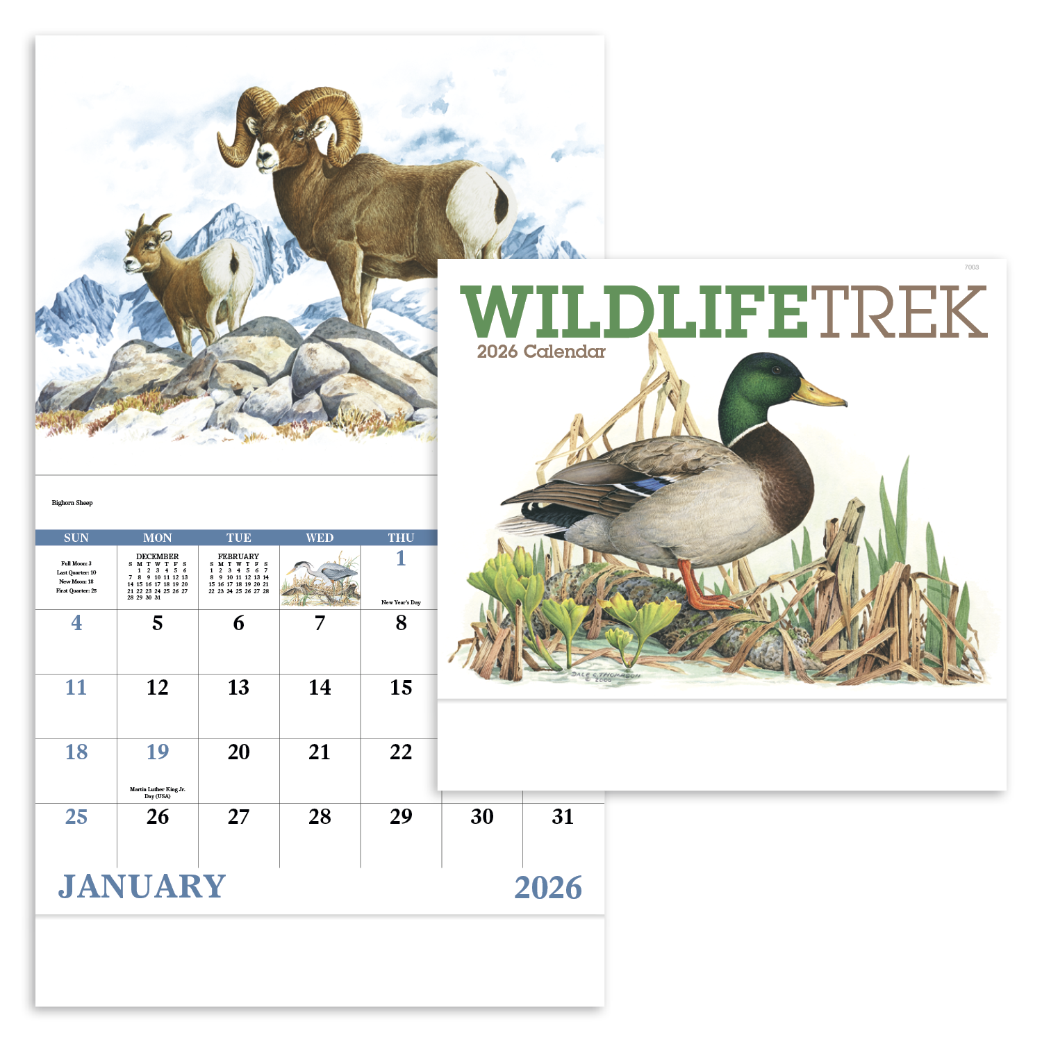 Good Value™ Wildlife Trek - Stapled Calendar 9