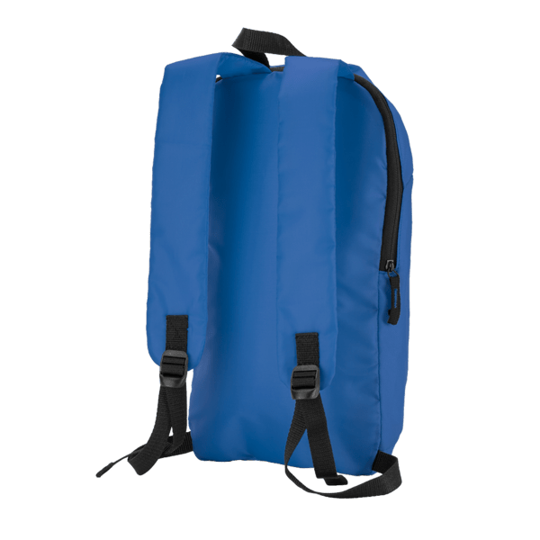 Budget Backpack 41